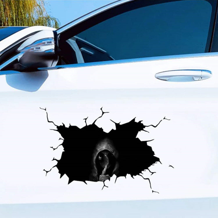 Car body sticker